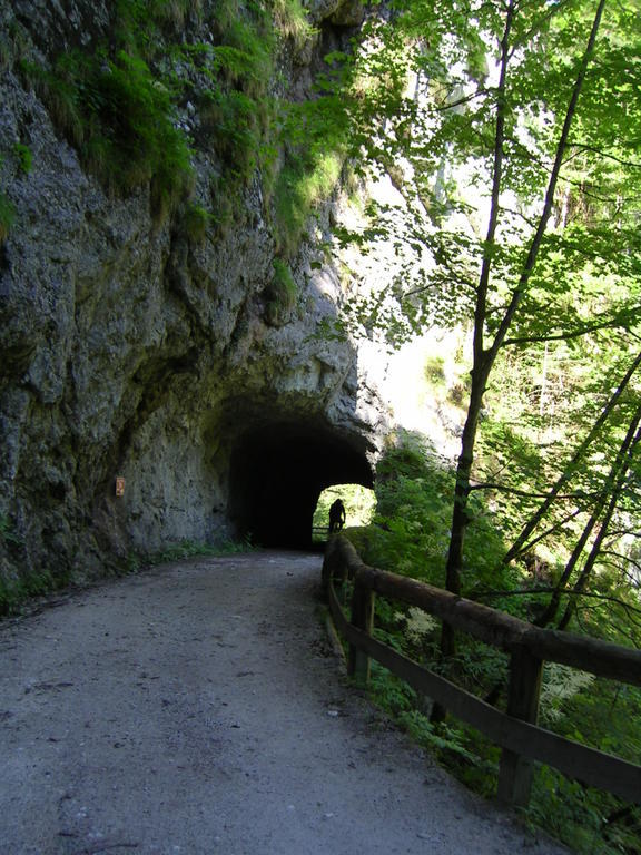 Gasthof Hensle St. Gallen Bagian luar foto