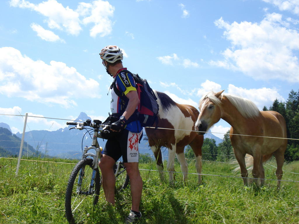 Gasthof Hensle St. Gallen Bagian luar foto